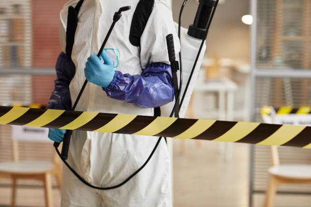 Professional Hoarding Cleanup technician working in Pflugerville, TX